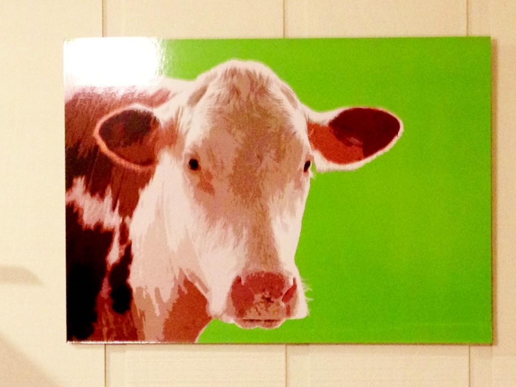 IKEA cow