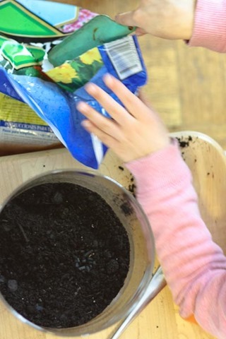 A terrarium to make with your children -- bring spring a little early | montessori works
