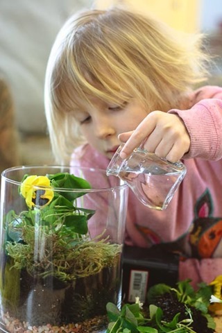A terrarium to make with your children -- bring spring a little early | montessori works
