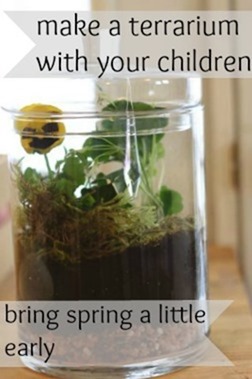 A terrarium to make with your children -- Bring spring a little early | montessori works